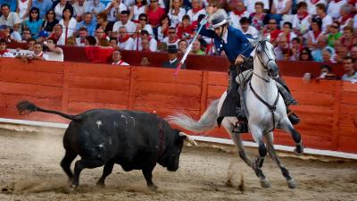 Fiestas de Estella-Lizarra